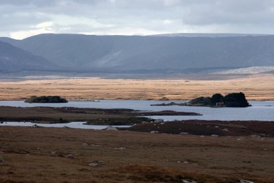 Connemara landscape in the late afternoon