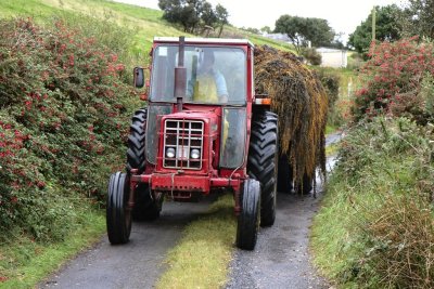 Transport of harvested seaweed