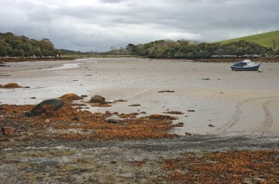 Offshoot of the Clew Bay