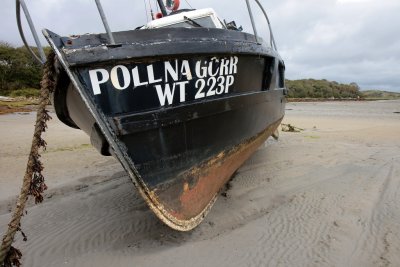 POLLNAGCRR WT 223P