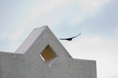 g3/52/826452/3/110176466.OxUu7Odr.jpg