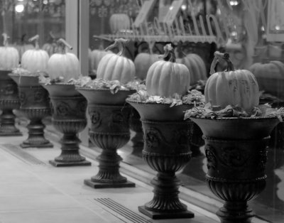Fentre sur l'automne