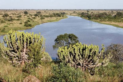 Mlondozi Dam