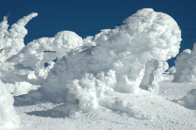 Snow Ghosts