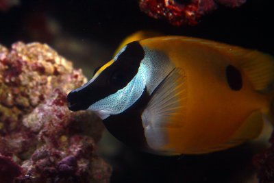 Underwater World Gallery