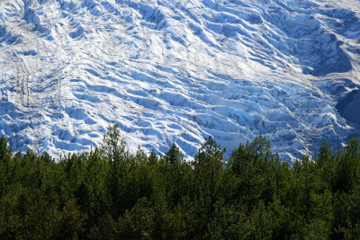 Exit Glacier 2.jpg