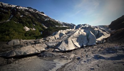 Exit Glacier 3.jpg