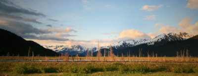 Kenai Peninsula