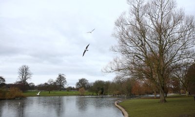 IMG_6948.JPG
