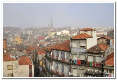 Porto - Portugal - DSC_2534.jpg