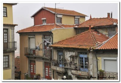 Porto - Portugal - DSC_2551.jpg