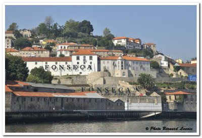 Porto - Portugal - DSC_2643.jpg