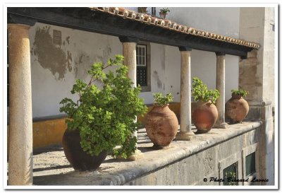 Obidos - Portugal - DSC_3147.jpg