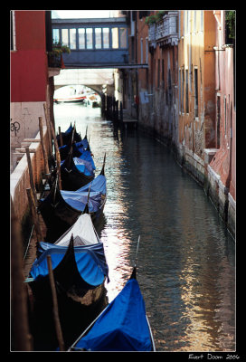 crop0022-border.jpg