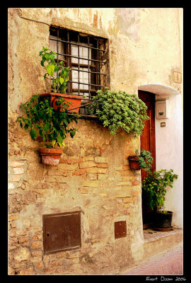 crop0041-border.jpg