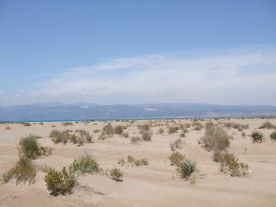 Sand Dunes Near The Goksu Delta