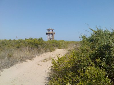 watch tower build for the bird watchers.