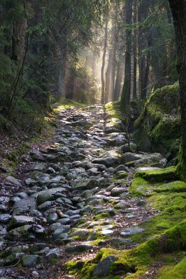 Mystery path