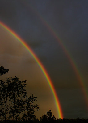 Rainbows