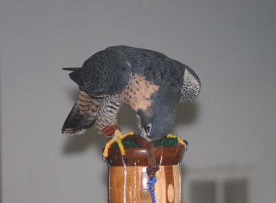 e200710sandia 010.jpg