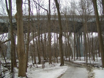 Copy of P3040053.JPG