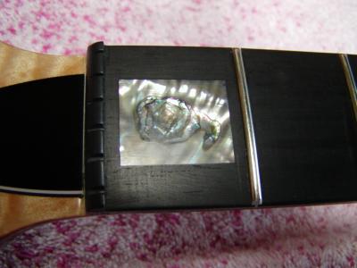 CT6M-nat_inlay1.JPG