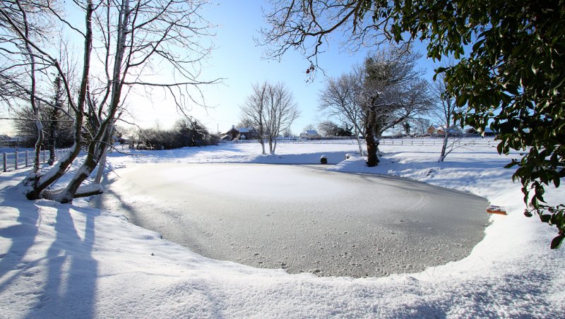 Plumstead Pond after Snow