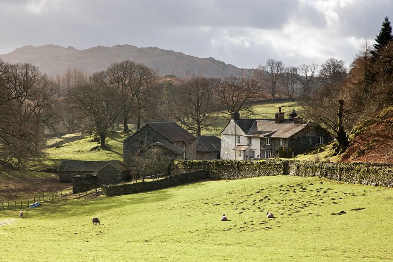 Cumbrian Farm