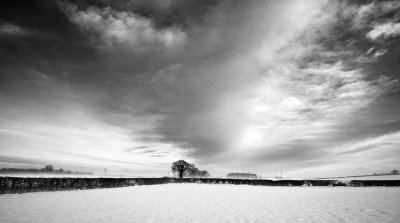 Across the fields out back