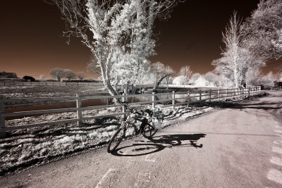 March taken with a black and white infrared camera