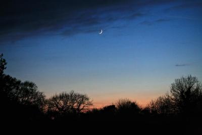 Setting Moon