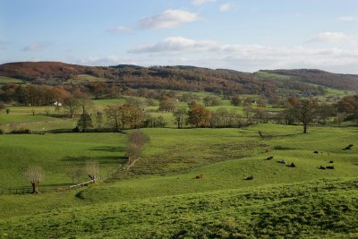 ambleside view.