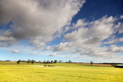 Spring farmland