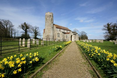 St andrew in Spring