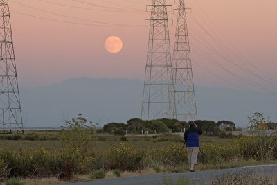 Moon Rising over Palo Alto Baylands