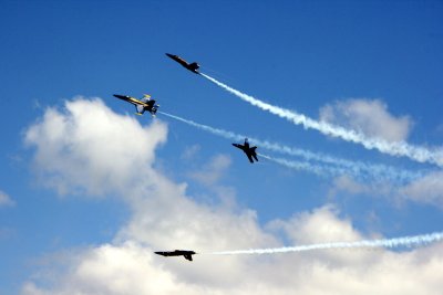 IMG_9037.JPG