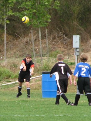 IMG_3768E.JPG