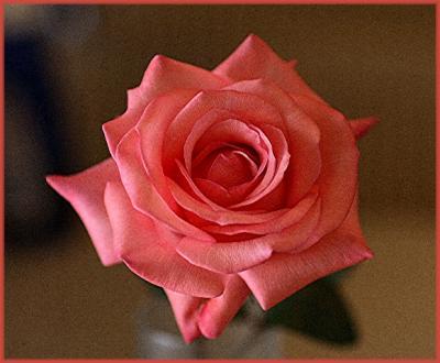 Rosesmall.jpg