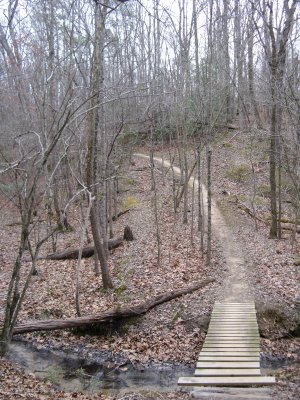 This bridge is at the bottom of a super fast root filled descent, high smile factor