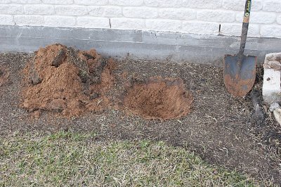 Hole to backfill with compost and topsoil