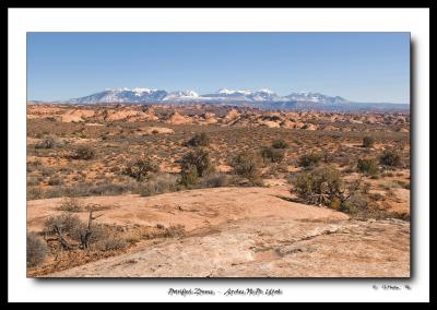 Petrified Dunes