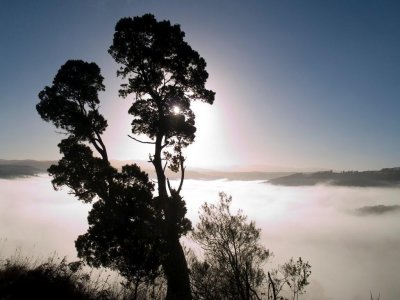 Morning Shine over valley