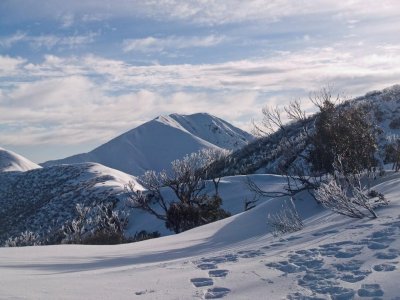 Morning Light over Mt Feathertop