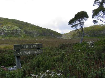 Mt Baw Baw 2005 - Mt St Gwinear