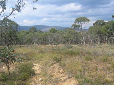 View across Brandy Creek Mine site