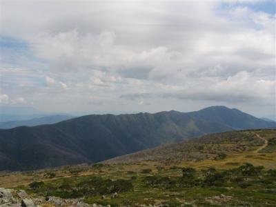 View to Mt Feathertop from Mt Lock
