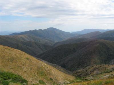View to Mt Feathertop
