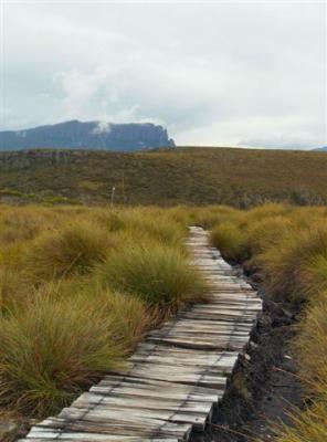 Boardwalk