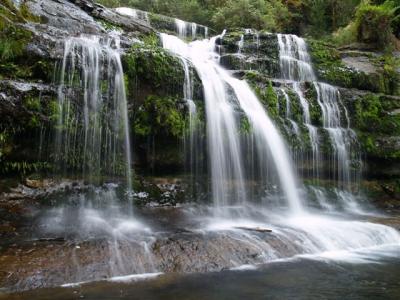 Liffey Falls - Tasmania