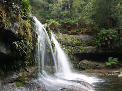 Liffey Falls - Tasmania